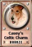 Cacey's Celtic Charm - Bronze Award